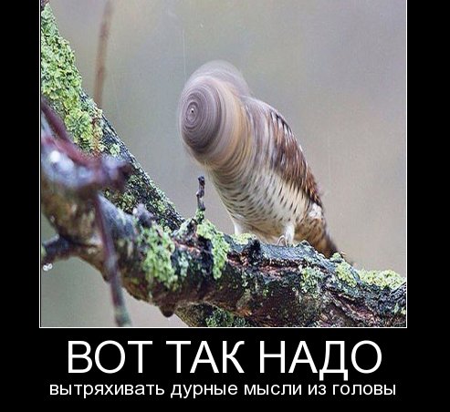 14,18a1b3d7ea9e73.jpg